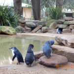 DSCN0816
