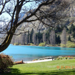 DSCN1458